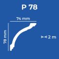 P78_2